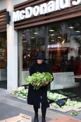 Rose plante des Salades 022 * 6000 x 4000 * (6.18MB)